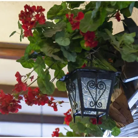 Baia Saraceno * 팔라우