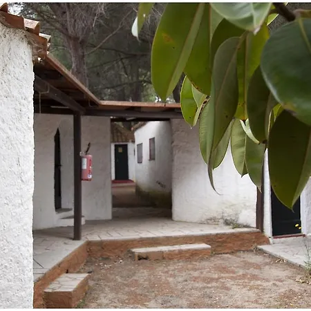 Baia Saraceno * 팔라우