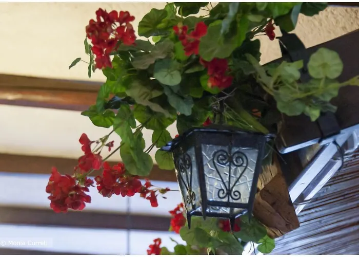 Baia Saraceno * 帕劳