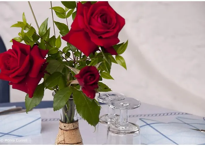 Baia Saraceno 营地 帕劳