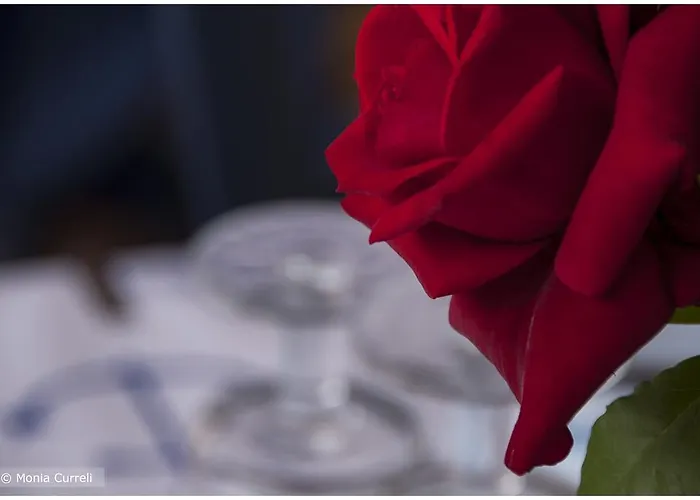 Baia Saraceno 营地 *